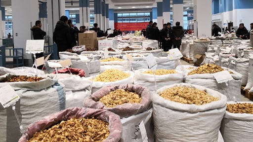 中国足协主席宋凯亮相第35届亚足联大会:关键议题与决策动向
