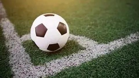 四川篮球队宣布汉斯布鲁入队，罗宾逊外援位置被取代