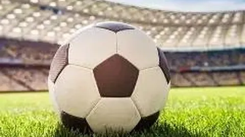 开云体育娱乐 资讯 094259 rrl